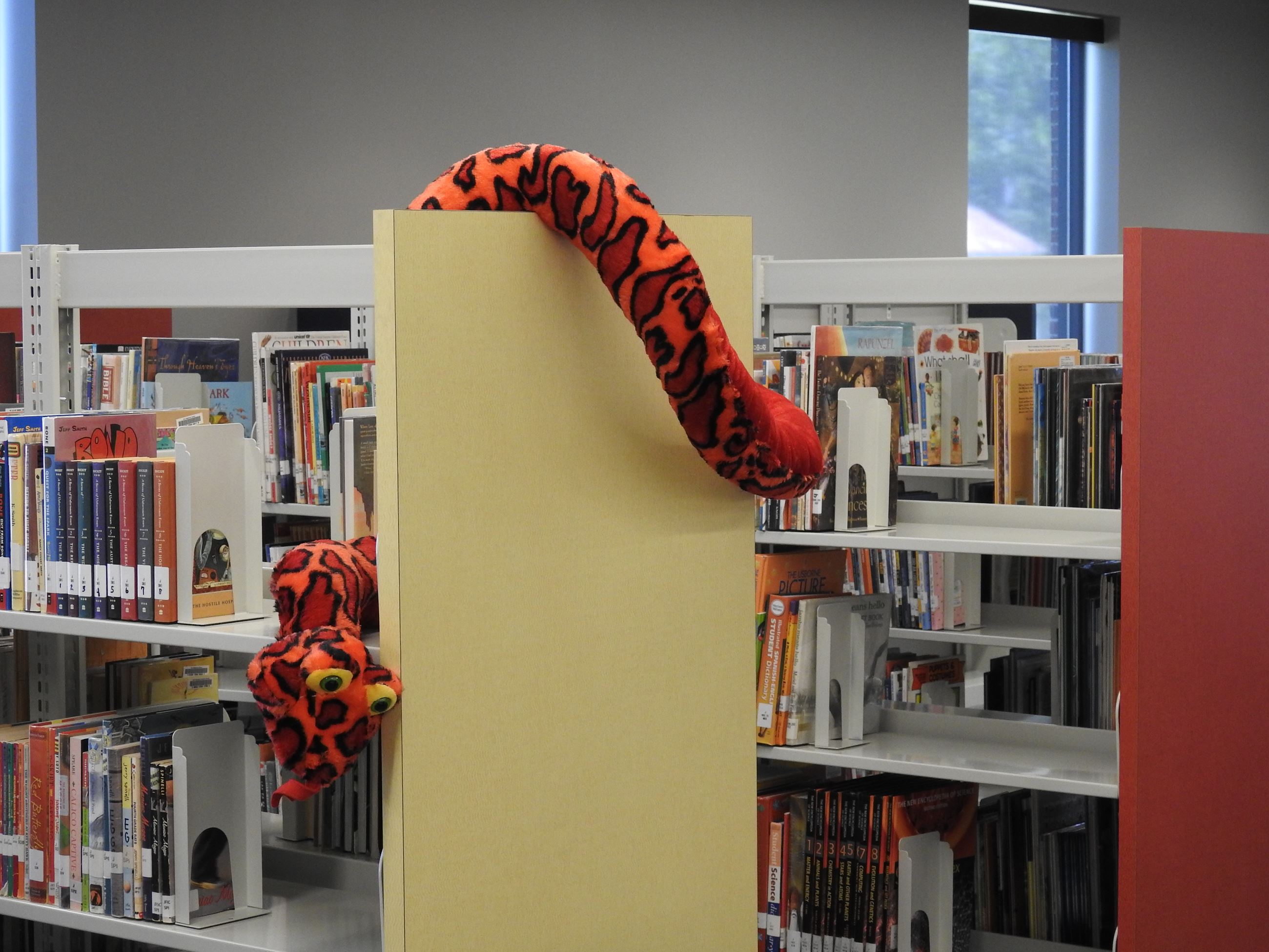 Bookshelf with stuffed animal hanging from the end